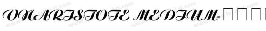 VnAristote Medium字体转换